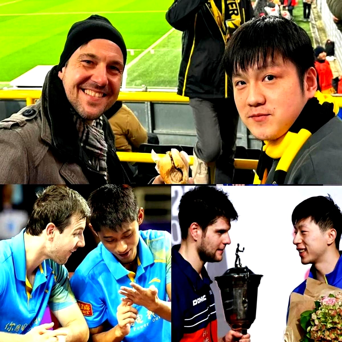 包含日本乒乓球队翻盘奥地利乒乓球队，波尔高光表现的词条