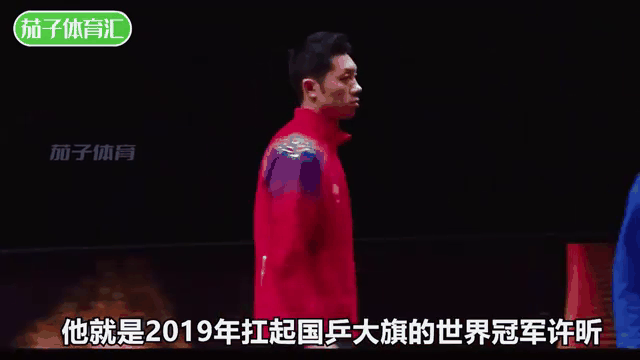 九游娱乐app下载-中国队逆转日本队，许昕点燃赛场